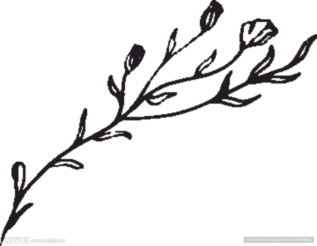 手绘花卉元素