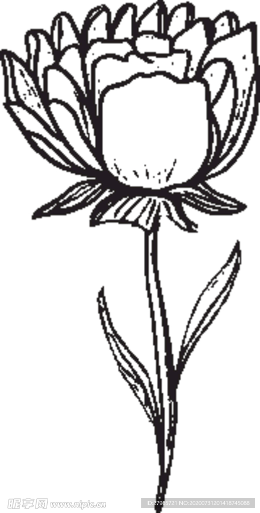 手绘花卉元素