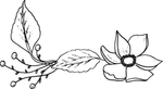 手绘花卉元素