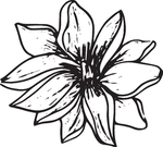 手绘花卉元素
