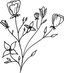 手绘花卉元素
