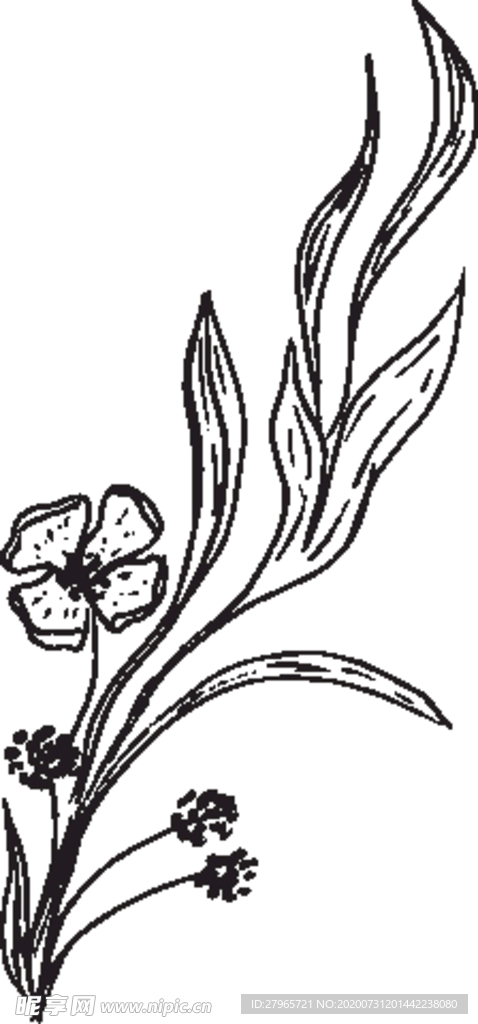 手绘花卉元素