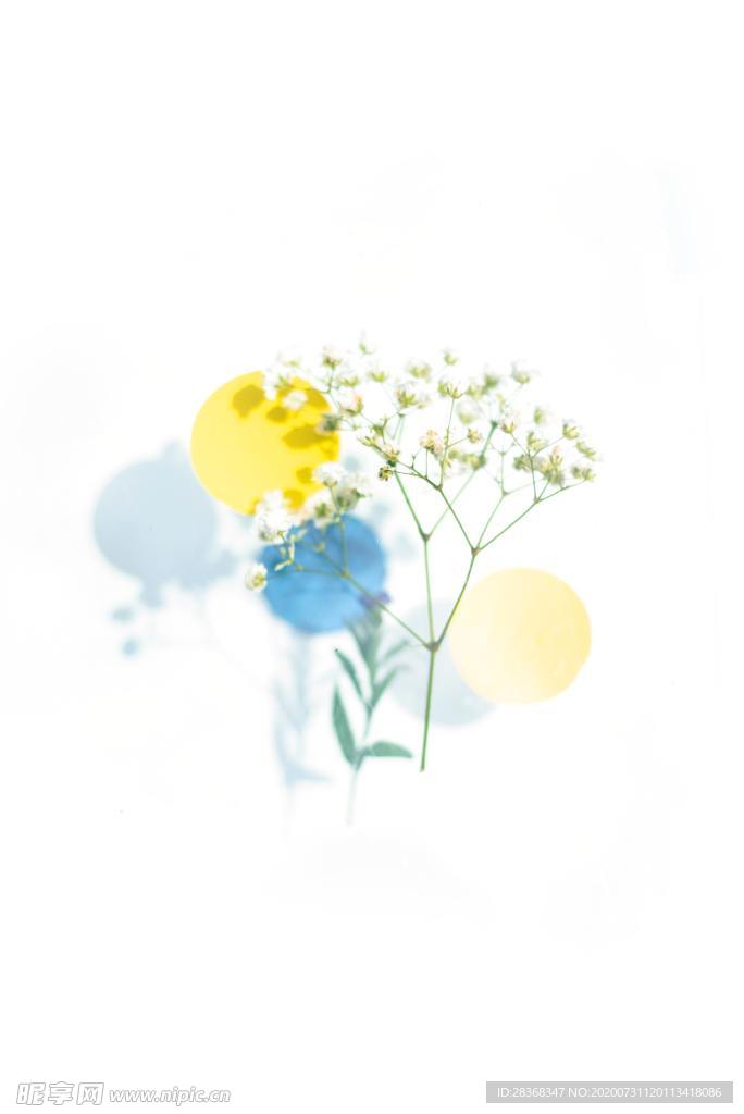 手绘花卉