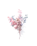 手绘花卉