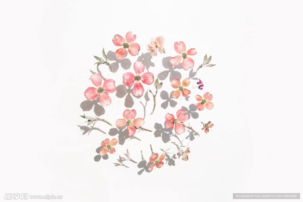 手绘花卉