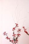 手绘花卉