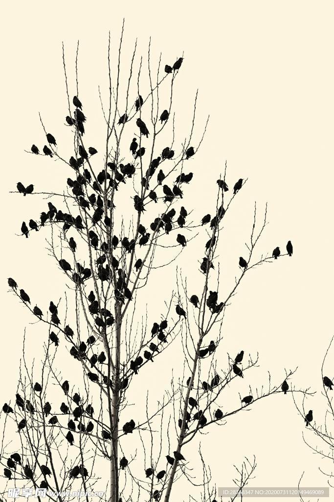 手绘花卉