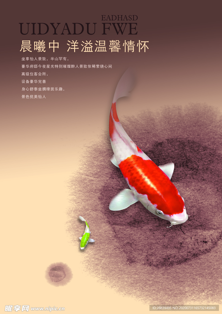 金鱼