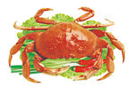 大闸蟹