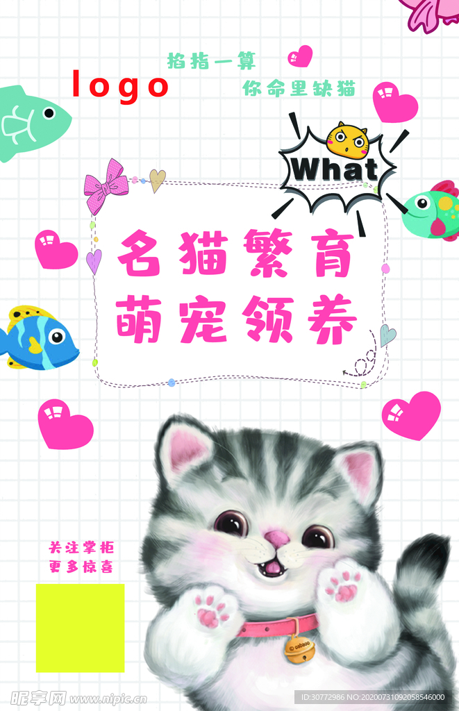 宠物促销