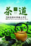 新茶上市宣传海报