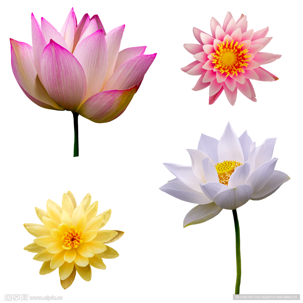 花束