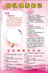 母乳喂养知识