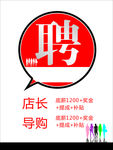 公司招聘