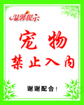 绿色边框