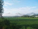 田园风光
