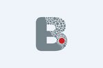 字母B