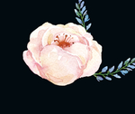 花叶