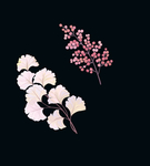 叶子