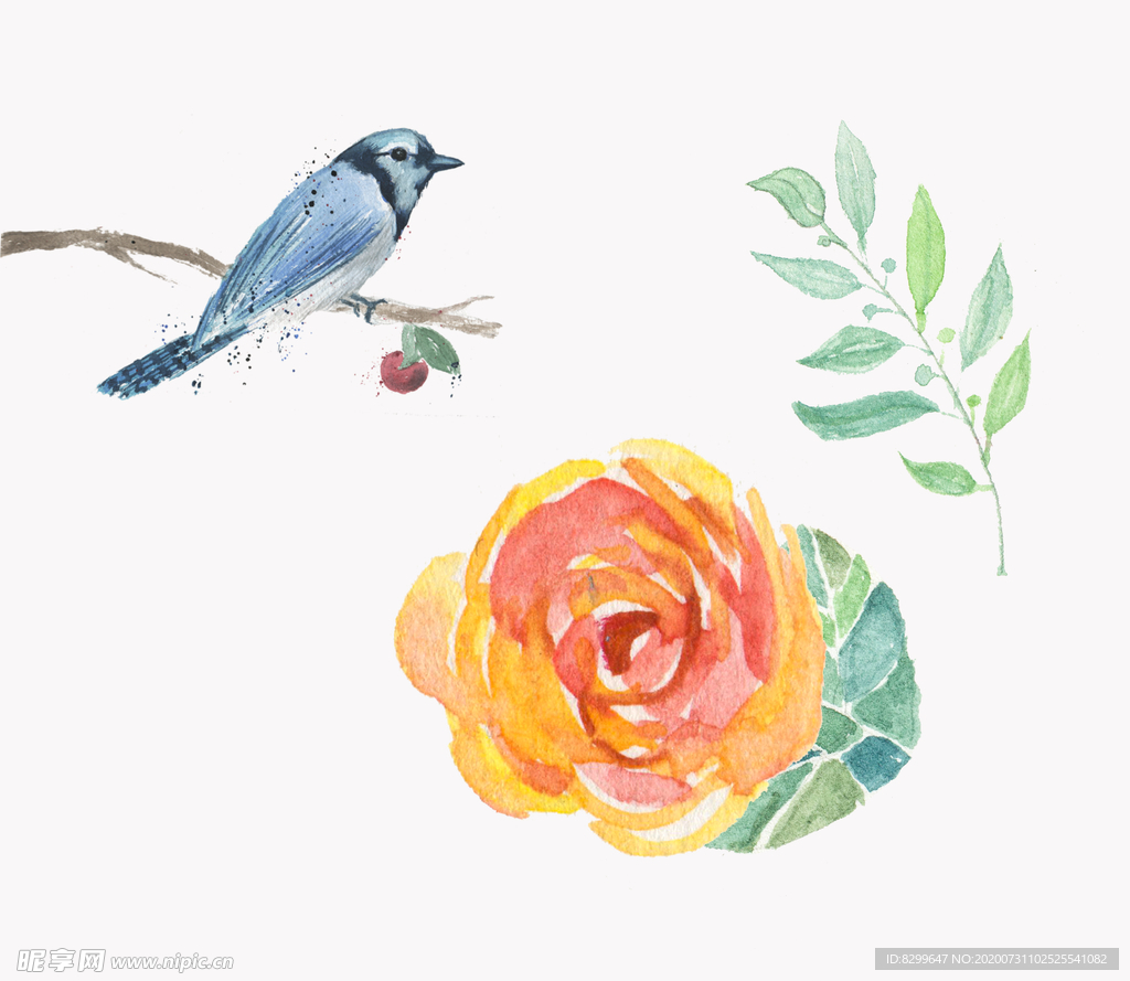 花鸟