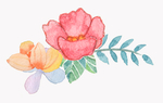 花叶