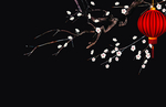 花枝与灯笼