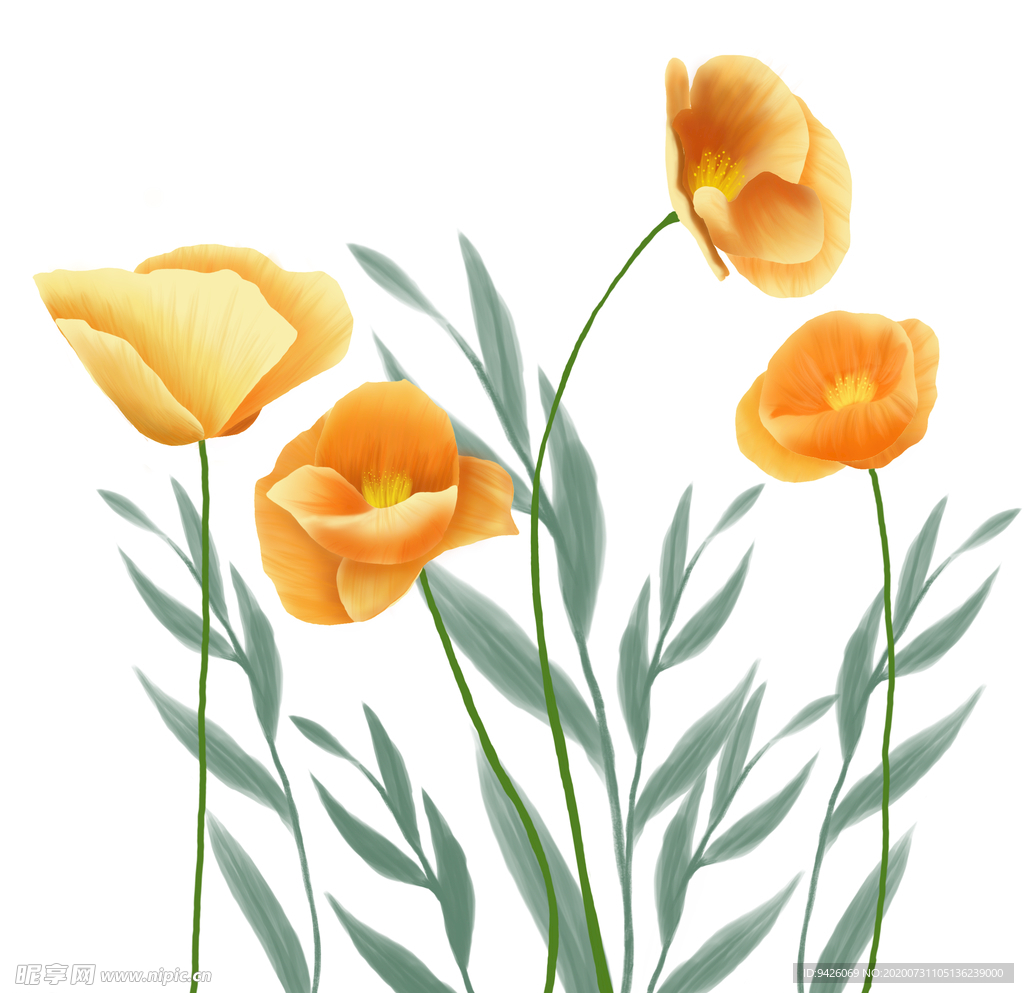 手绘格桑花