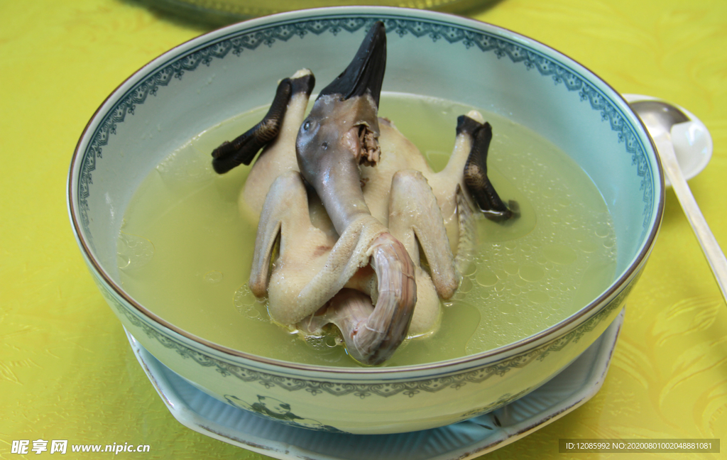 连城白鸭汤