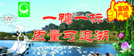 连城白鸭