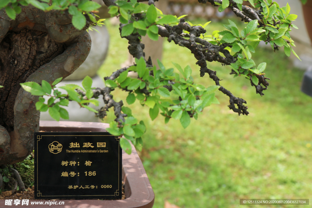 拙政园