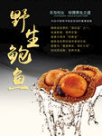 野生鲍鱼美食海报