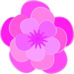 花图片