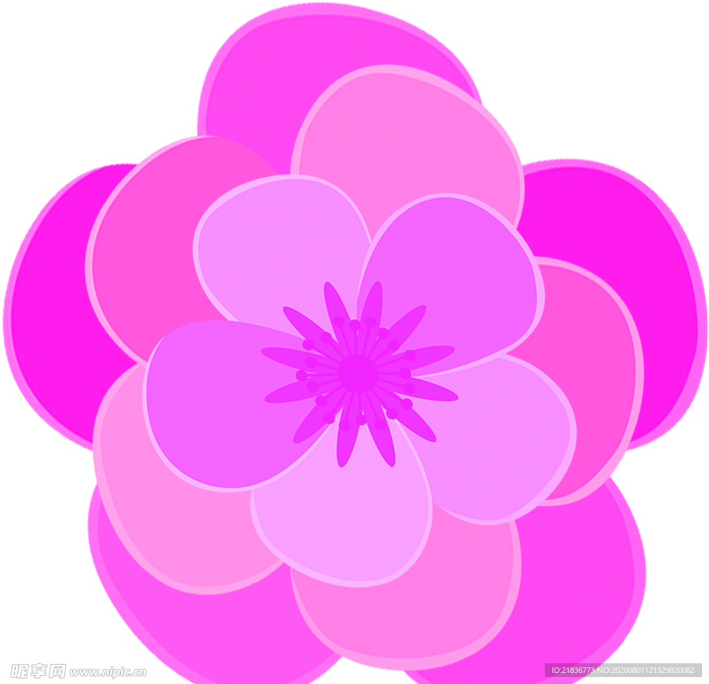 花图片