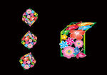 花图片
