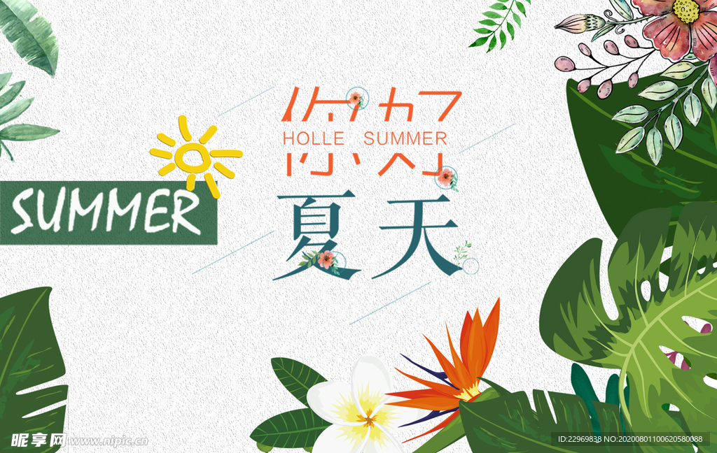 你好，夏天！
