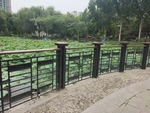 夏季公园