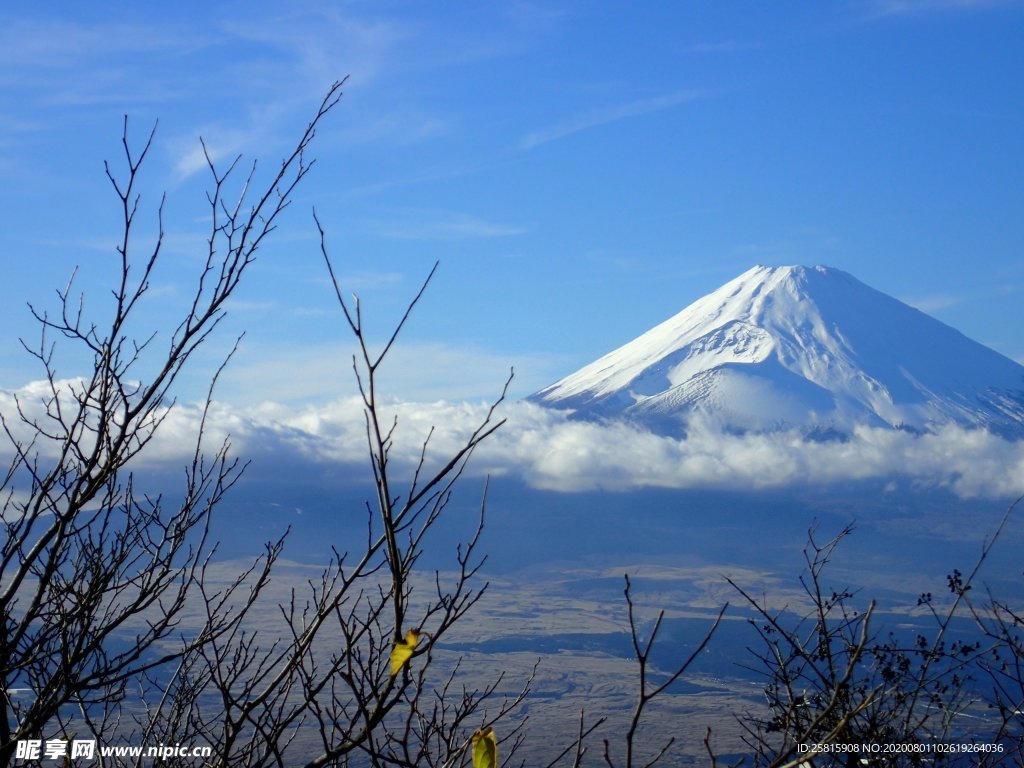 富士山