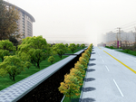 道路绿化后期效果