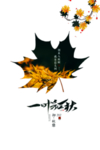 立秋