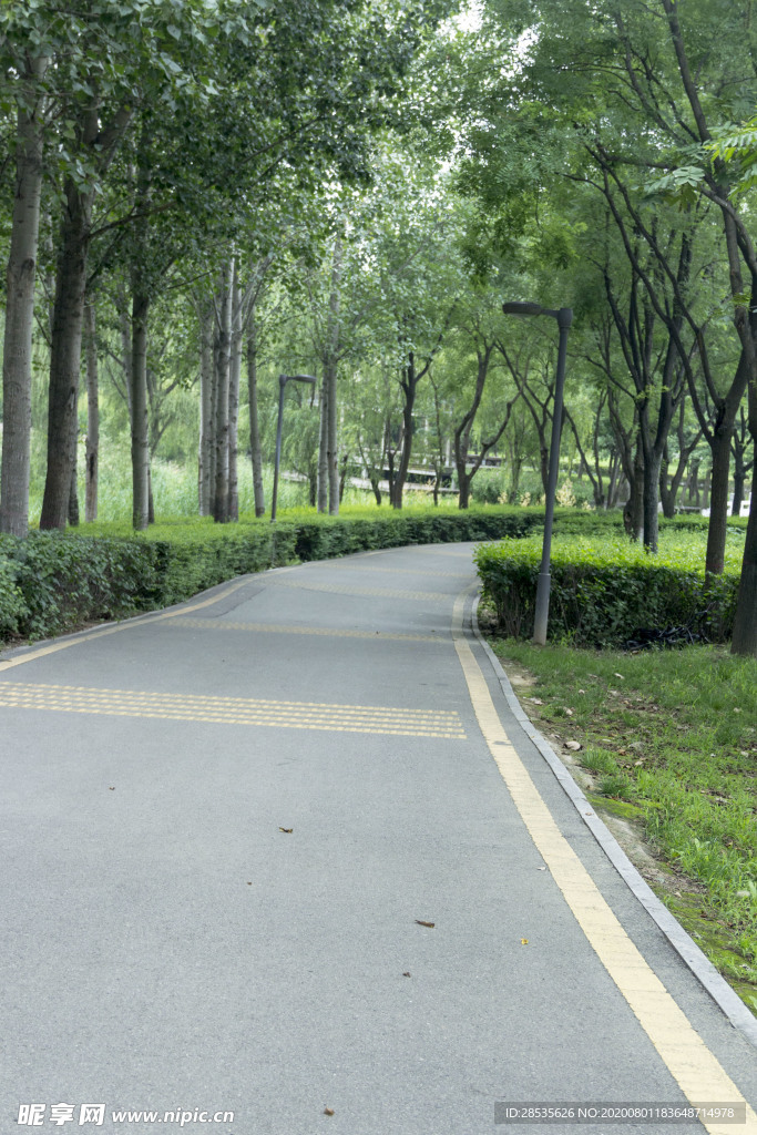 道路