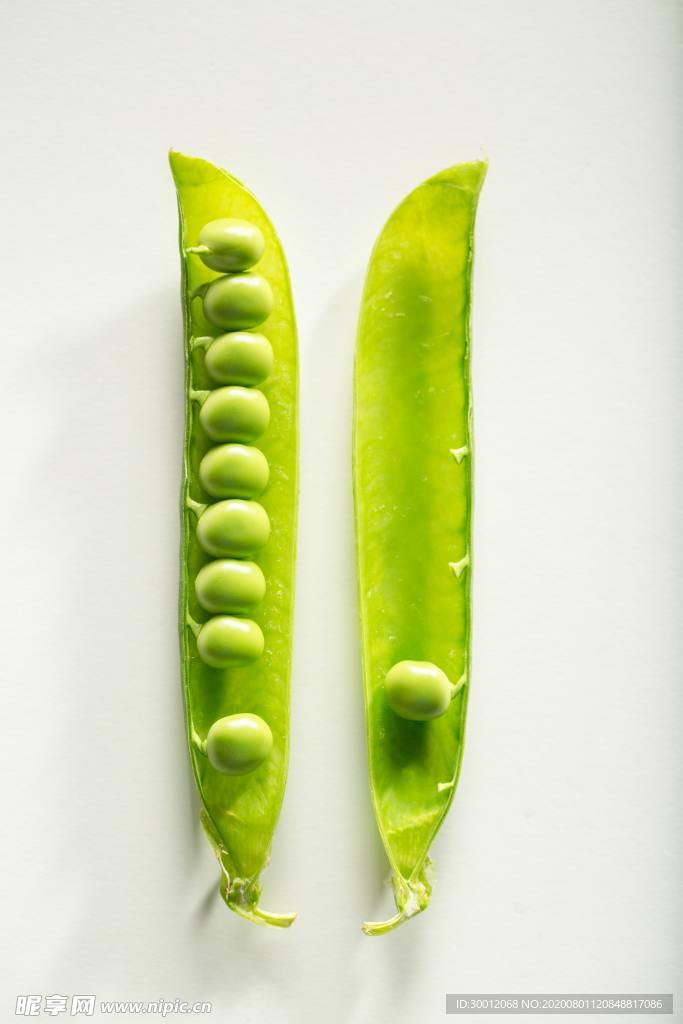 青豆