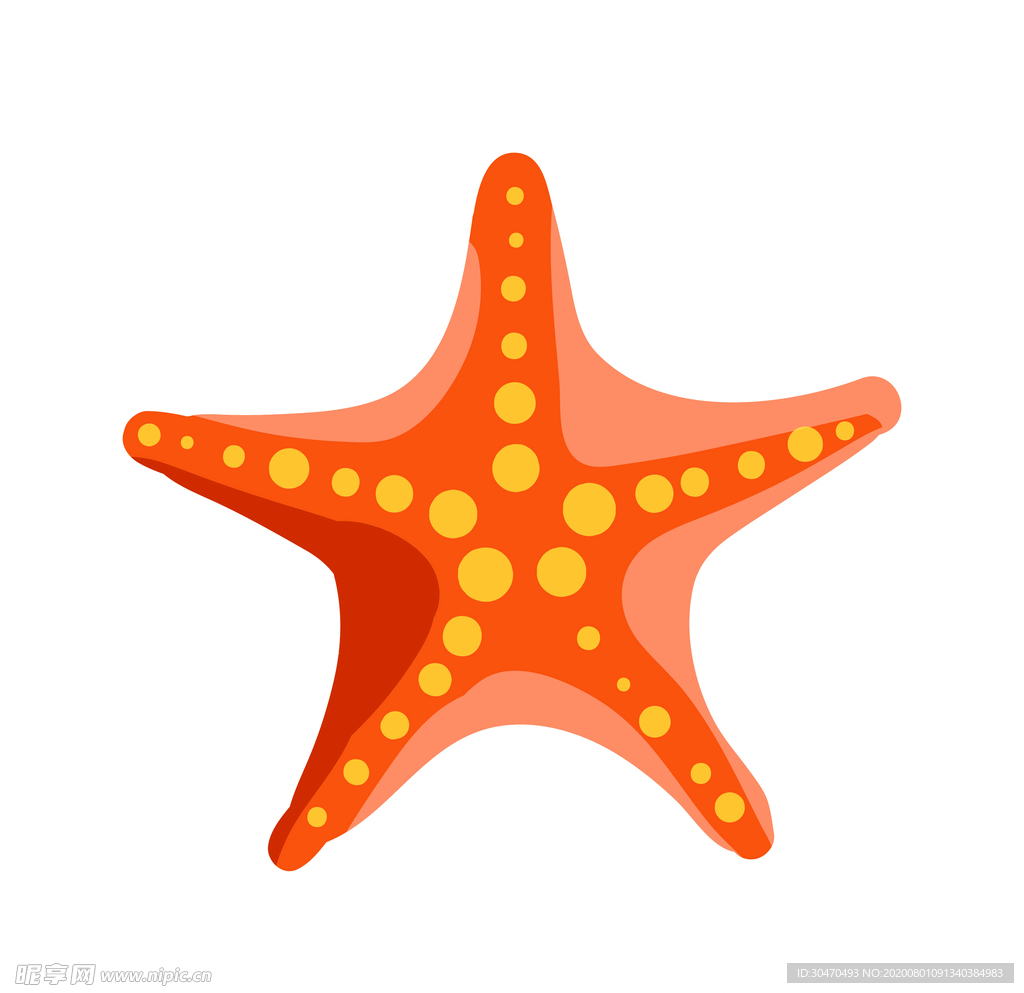 海星