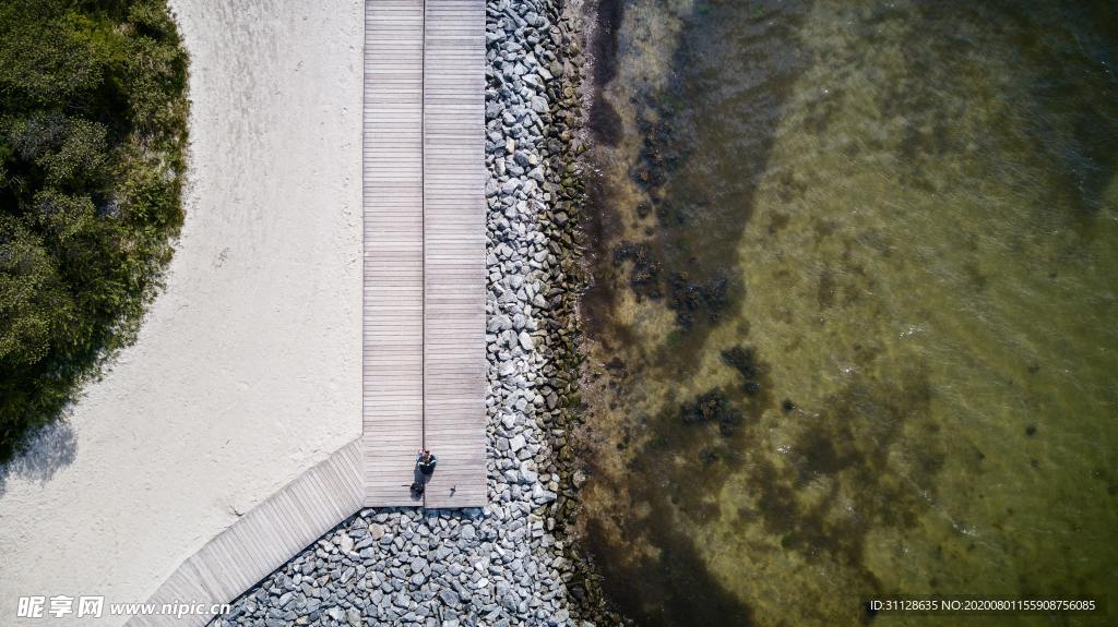 河流 树 道路