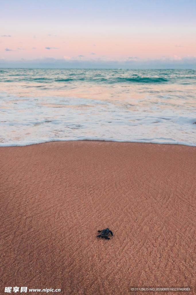 海浪 沙滩