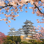 名胜风景