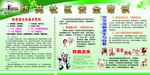 安全常识