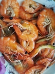 虾