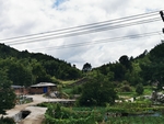 乡村