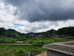 乡村