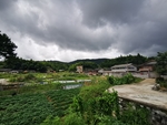乡村
